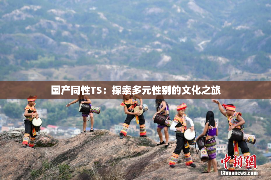 国产同性TS：探索多元性别的文化之旅