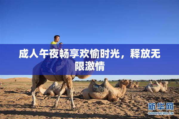 成人午夜畅享欢愉时光，释放无限激情