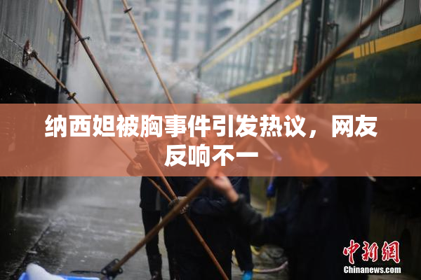 纳西妲被胸事件引发热议，网友反响不一