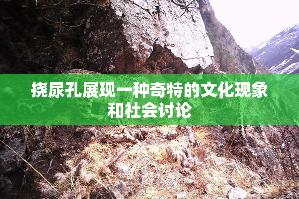 挠尿孔展现一种奇特的文化现象和社会讨论