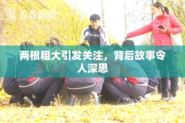 两根粗大引发关注，背后故事令人深思