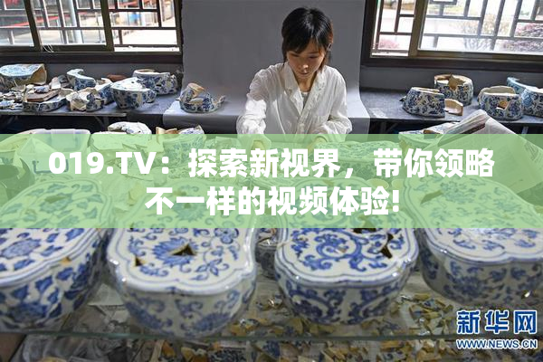019.TV：探索新视界，带你领略不一样的视频体验!