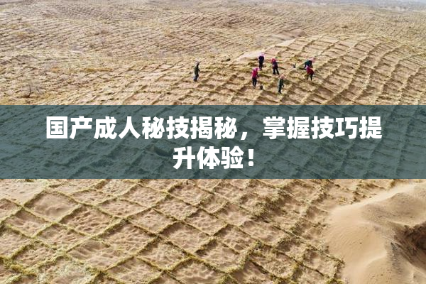 国产成人秘技揭秘，掌握技巧提升体验！