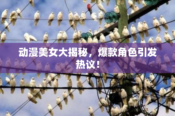 动漫美女大揭秘，爆款角色引发热议！