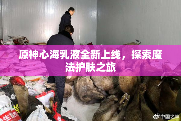 原神心海乳液全新上线，探索魔法护肤之旅