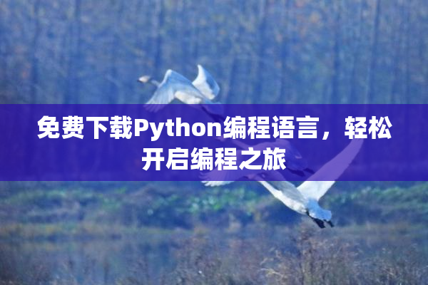 免费下载Python编程语言，轻松开启编程之旅