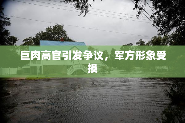 巨肉高官引发争议，军方形象受损