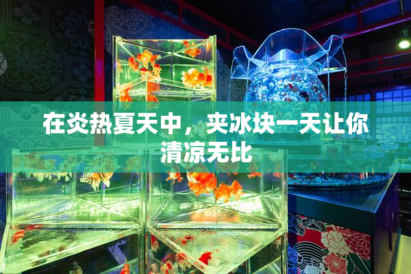 在炎热夏天中，夹冰块一天让你清凉无比