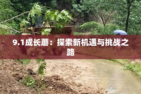 9.1成长蘑：探索新机遇与挑战之路