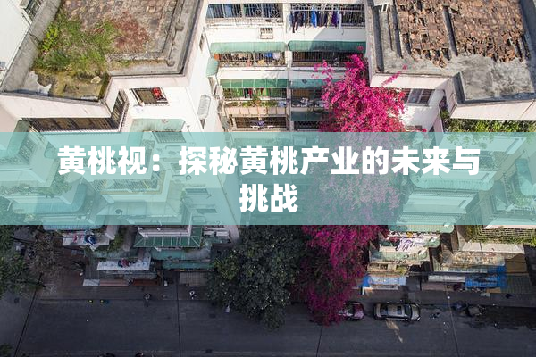 黄桃视：探秘黄桃产业的未来与挑战