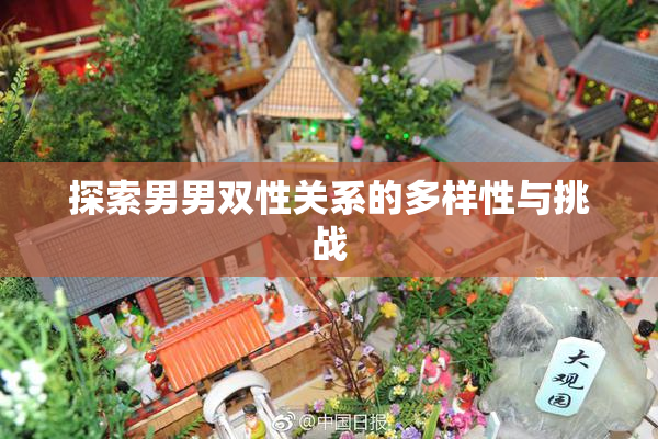 探索男男双性关系的多样性与挑战