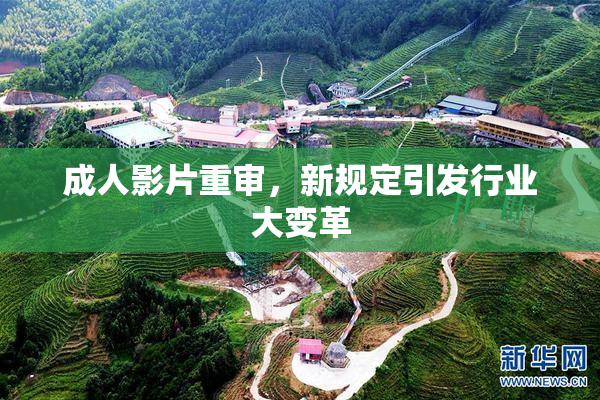 成人影片重审，新规定引发行业大变革
