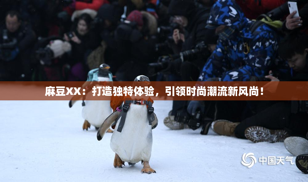 麻豆XX：打造独特体验，引领时尚潮流新风尚！