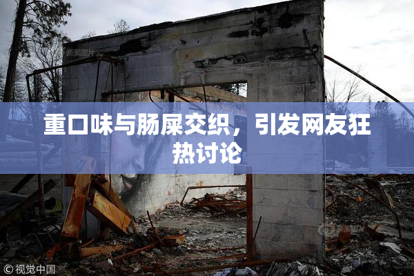 重口味与肠屎交织，引发网友狂热讨论