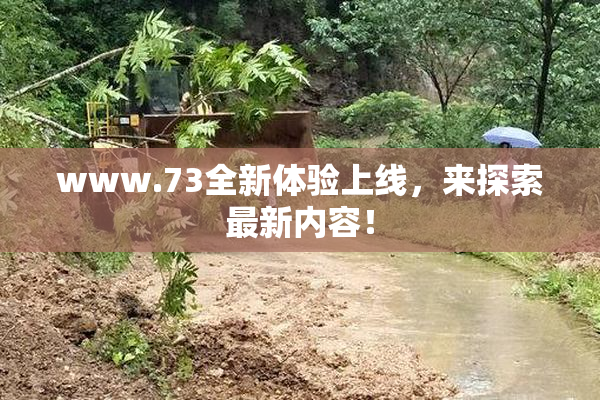 www.73全新体验上线，来探索最新内容！