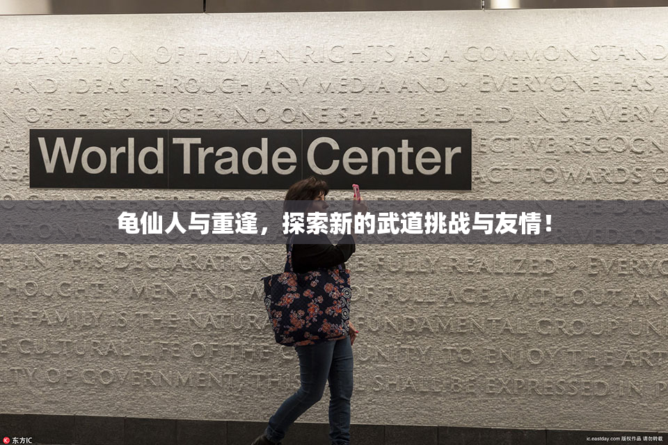 龟仙人与重逢，探索新的武道挑战与友情！
