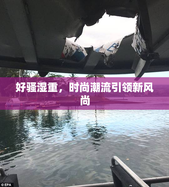 好骚湿重，时尚潮流引领新风尚