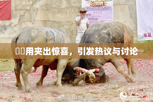 妺妺用夹出惊喜，引发热议与讨论