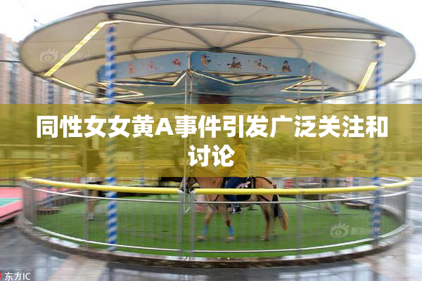 同性女女黄A事件引发广泛关注和讨论