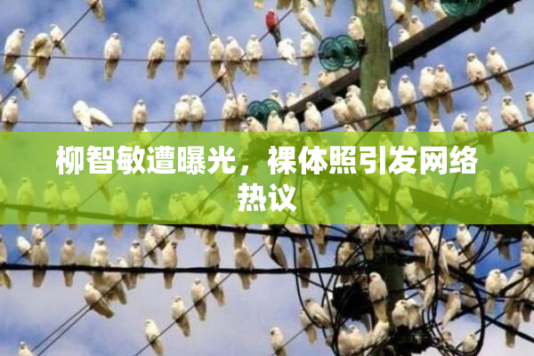柳智敏遭曝光，裸体照引发网络热议