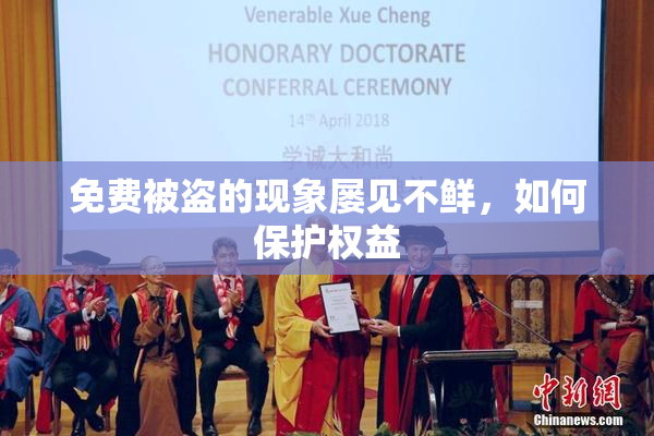 免费被盗的现象屡见不鲜，如何保护权益