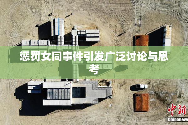 惩罚女同事件引发广泛讨论与思考
