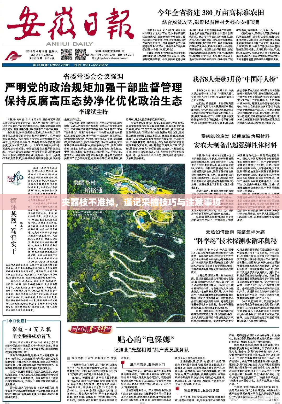 夹荔枝不准掉，谨记采摘技巧与注意事项