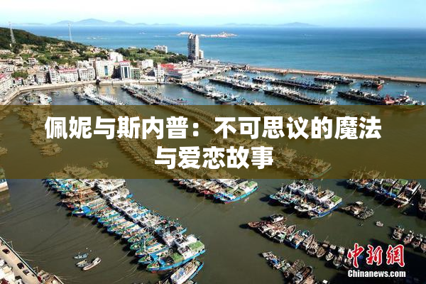 佩妮与斯内普：不可思议的魔法与爱恋故事