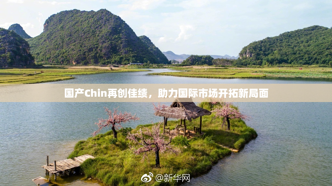 国产Chin再创佳绩，助力国际市场开拓新局面