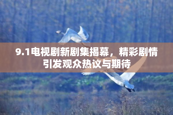 9.1电视剧新剧集揭幕，精彩剧情引发观众热议与期待