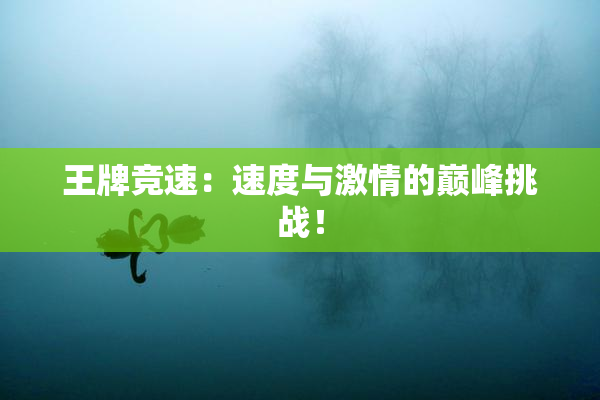 王牌竞速：速度与激情的巅峰挑战！