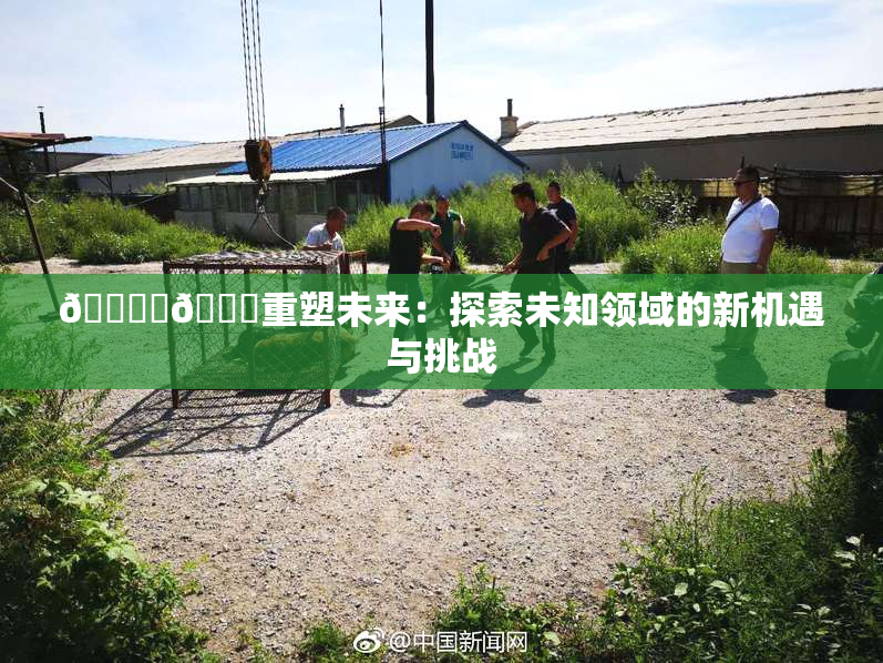 🔞‌🍌重塑未来：探索未知领域的新机遇与挑战