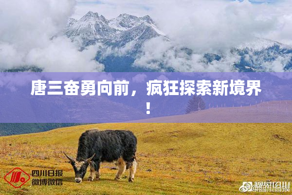 唐三奋勇向前，疯狂探索新境界！