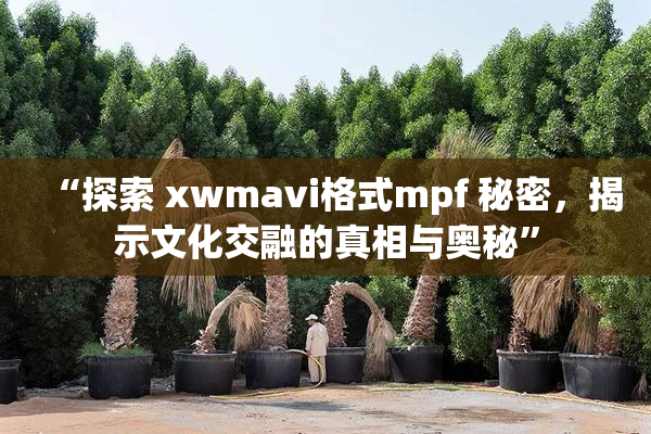 “探索 xwmavi格式mpf 秘密，揭示文化交融的真相与奥秘”