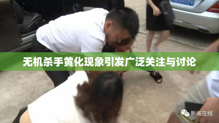 无机杀手黄化现象引发广泛关注与讨论