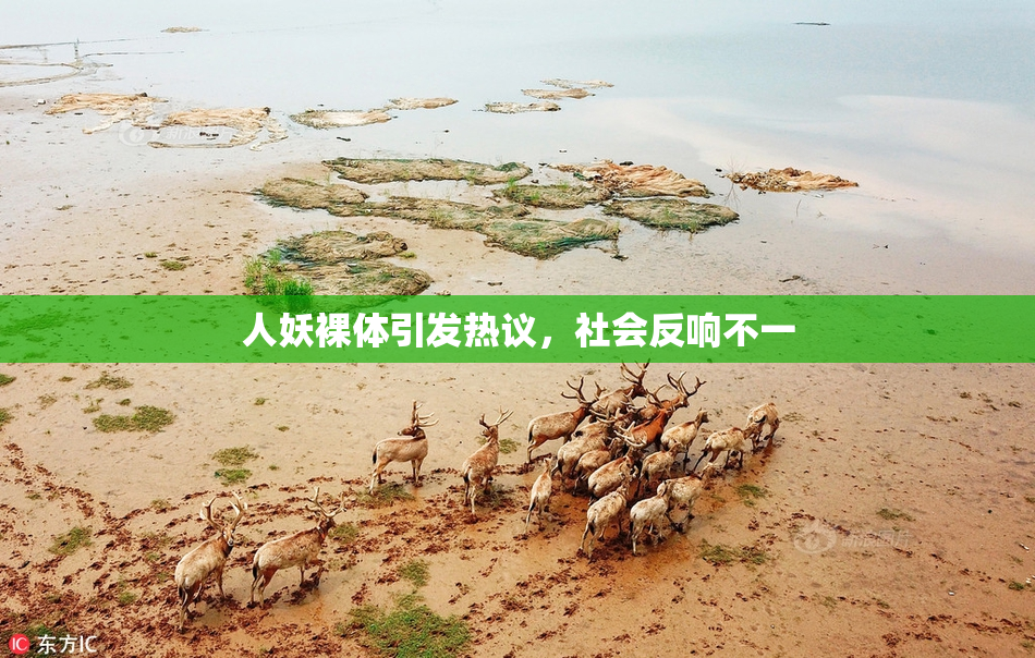 人妖裸体引发热议，社会反响不一
