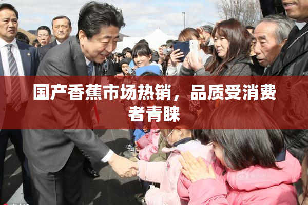 国产香蕉市场热销，品质受消费者青睐