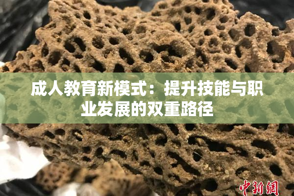 成人教育新模式：提升技能与职业发展的双重路径