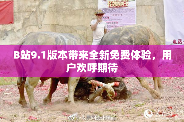 B站9.1版本带来全新免费体验，用户欢呼期待