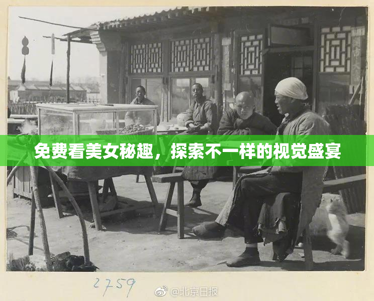 免费看美女秘趣，探索不一样的视觉盛宴