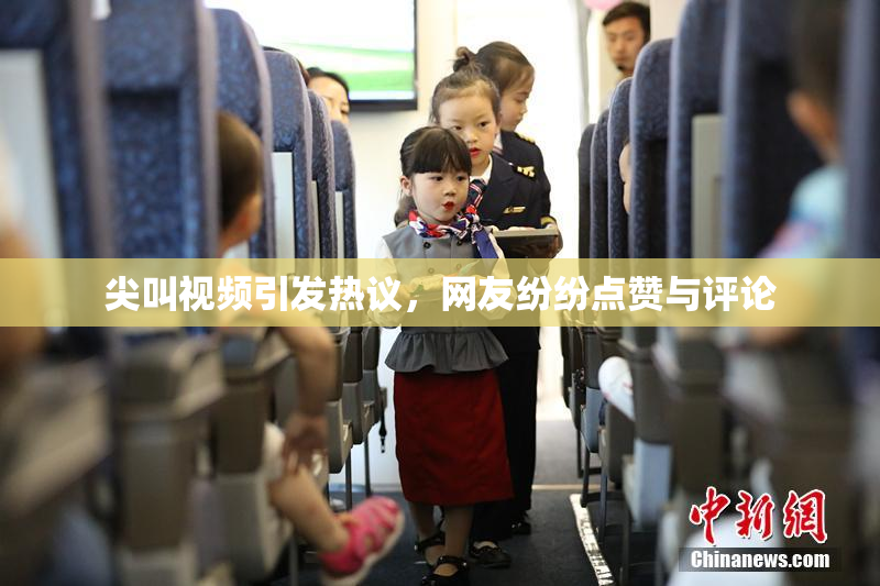 尖叫视频引发热议，网友纷纷点赞与评论