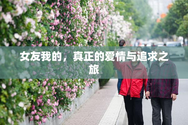 女友我的，真正的爱情与追求之旅