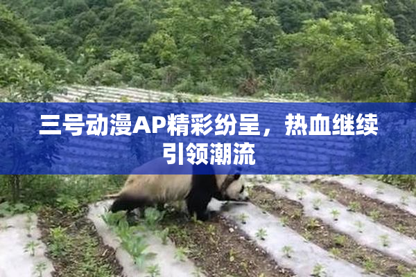 三号动漫AP精彩纷呈，热血继续引领潮流