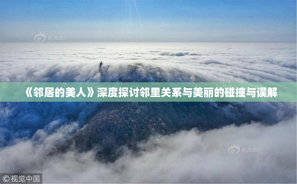 《邻居的美人》深度探讨邻里关系与美丽的碰撞与误解