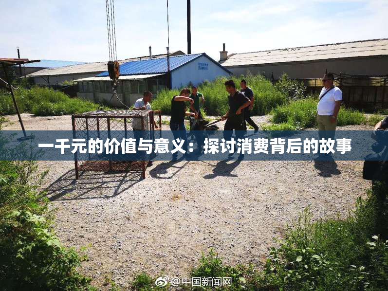 一千元的价值与意义：探讨消费背后的故事