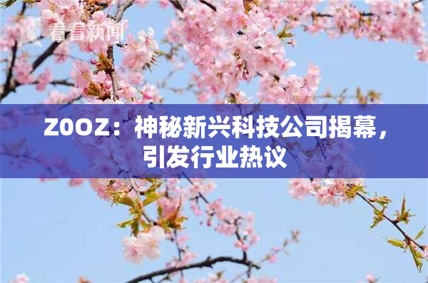 Z0OZ：神秘新兴科技公司揭幕，引发行业热议