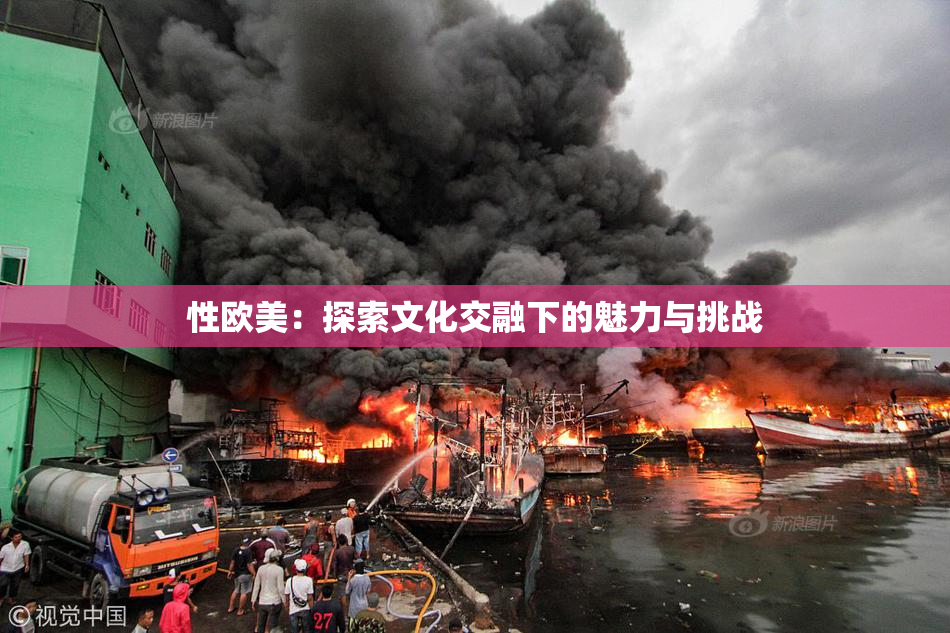 性欧美：探索文化交融下的魅力与挑战