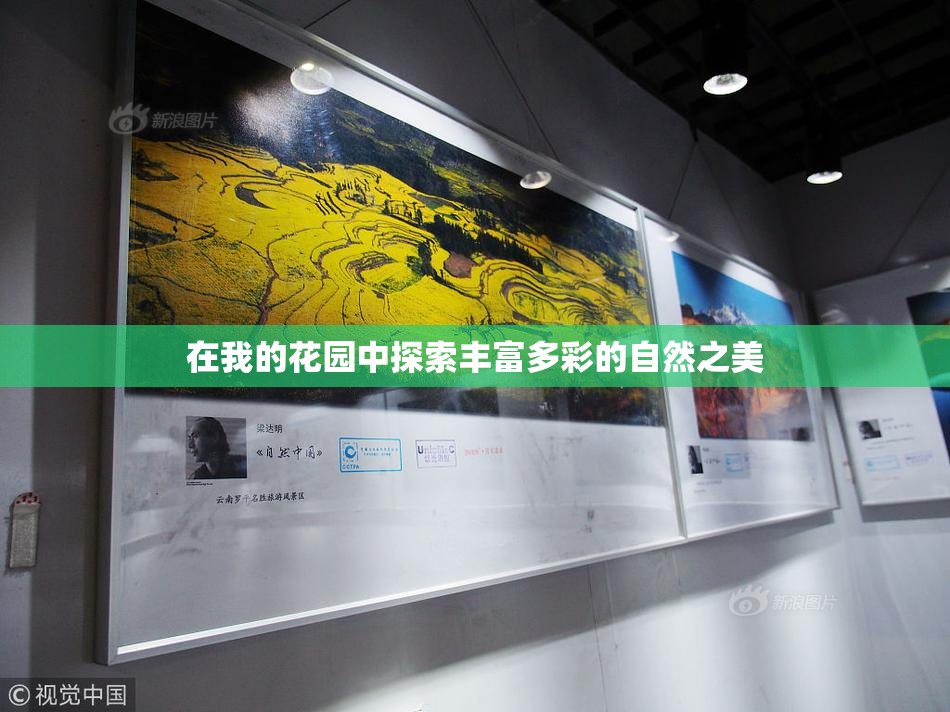 在我的花园中探索丰富多彩的自然之美