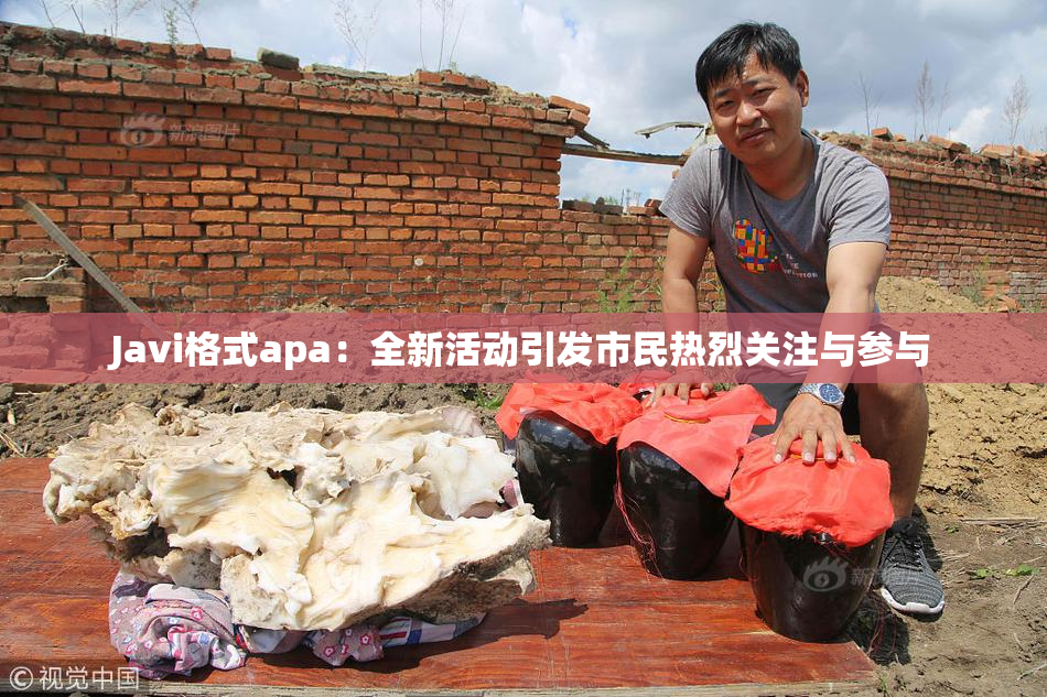 Javi格式apa：全新活动引发市民热烈关注与参与
