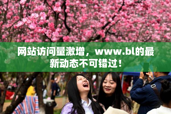 网站访问量激增，www.bl的最新动态不可错过！